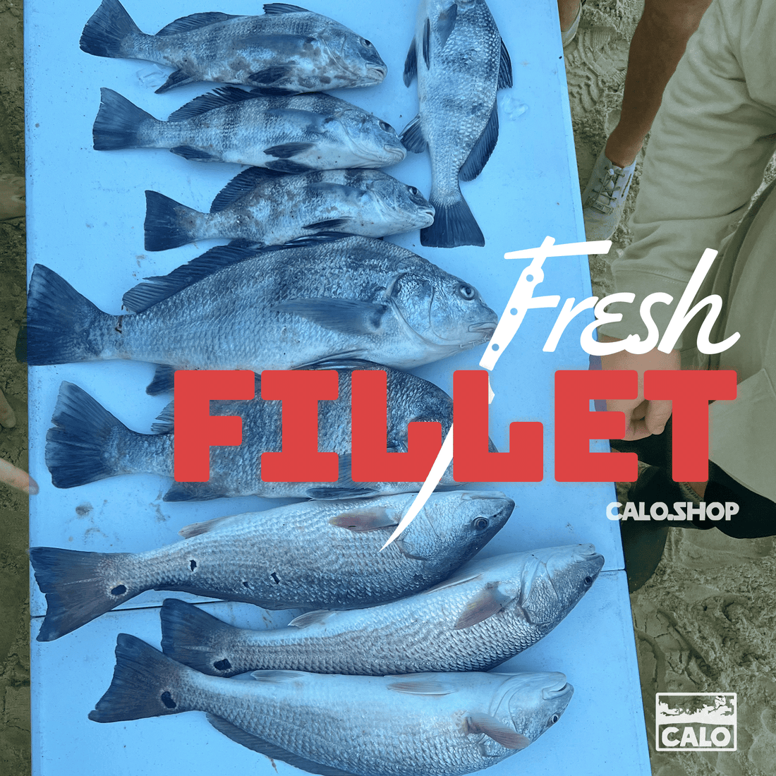 Mixtape cover for spotify playlist for fishing and beach trips